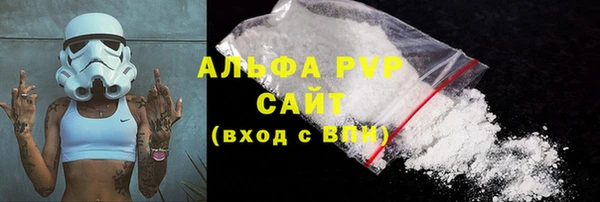 прущие грибы Майский