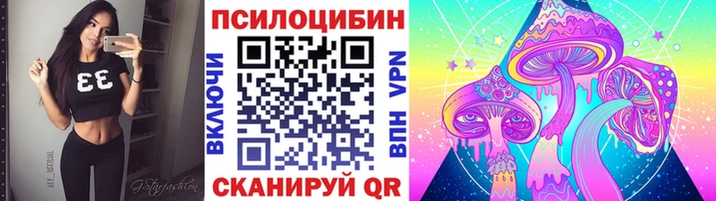 Купить где  Мосальск  Псилоцибиновые грибы MAGIC MUSHROOMS 